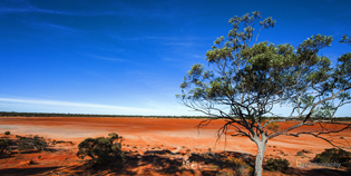 Dry Lake Bed Nullabor Plain WA